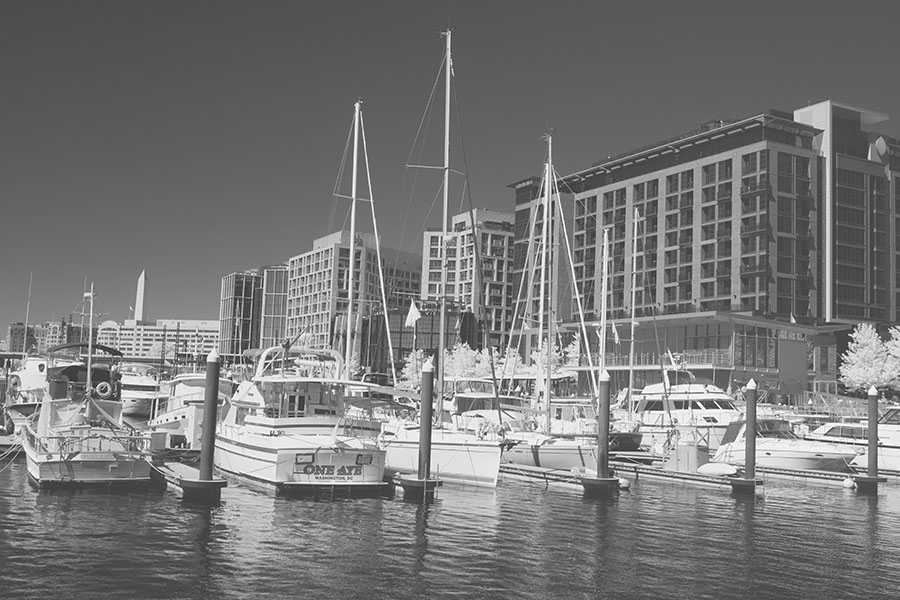 Grey Photo of Washington DC Marina.